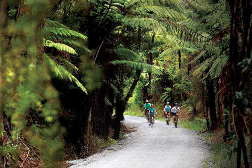 Cycling and Mountain Biking activities to See and Do in New Zealand